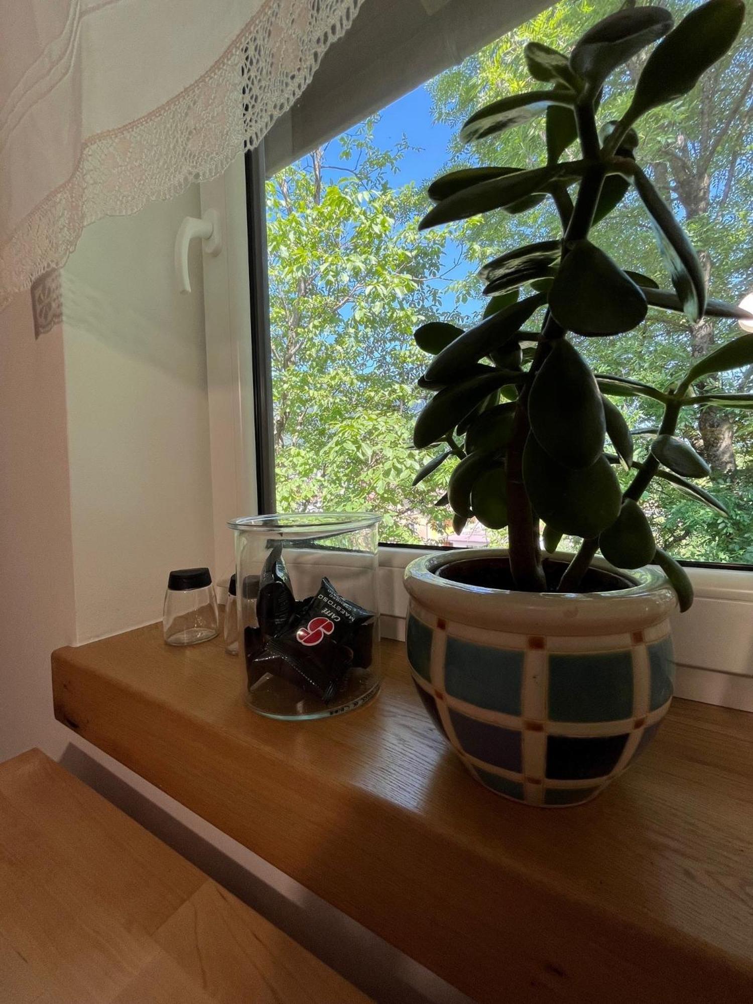 Apartment Azimut Hisa *